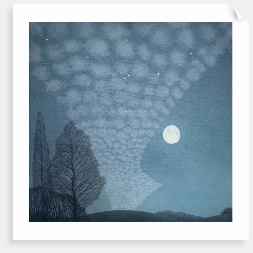 October Night, 2003 by Ann Brain