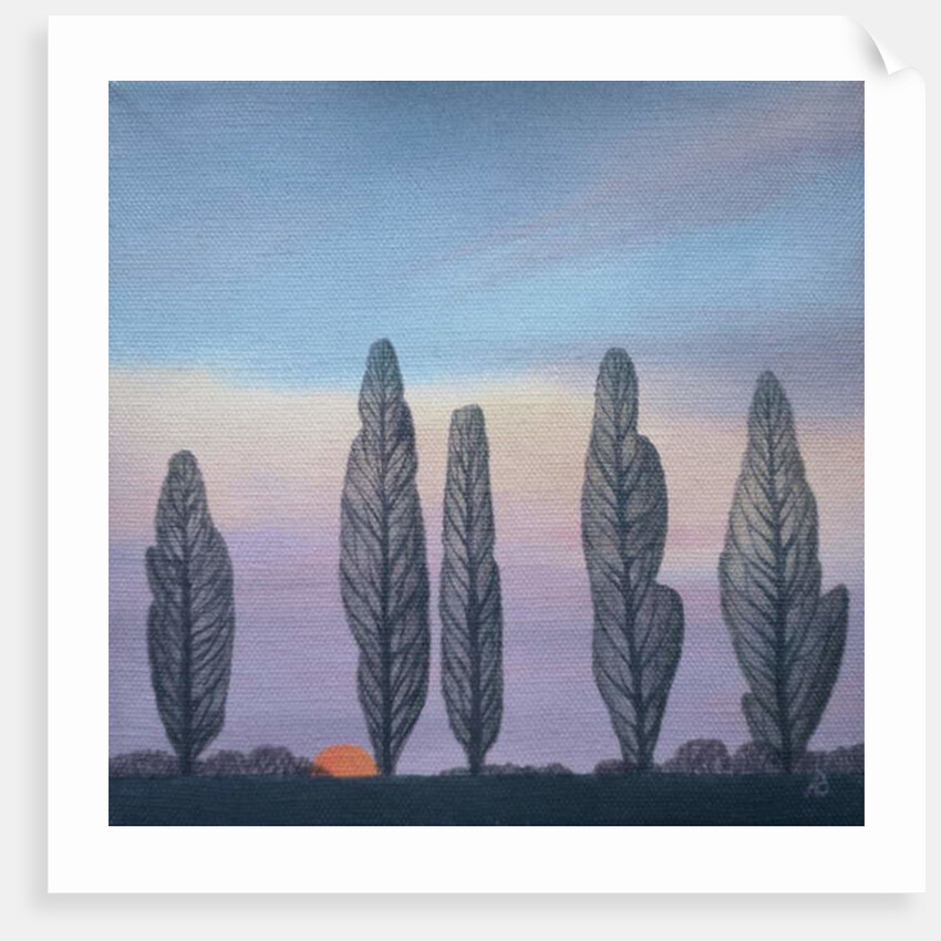 Poplars, 2003 by Ann Brain