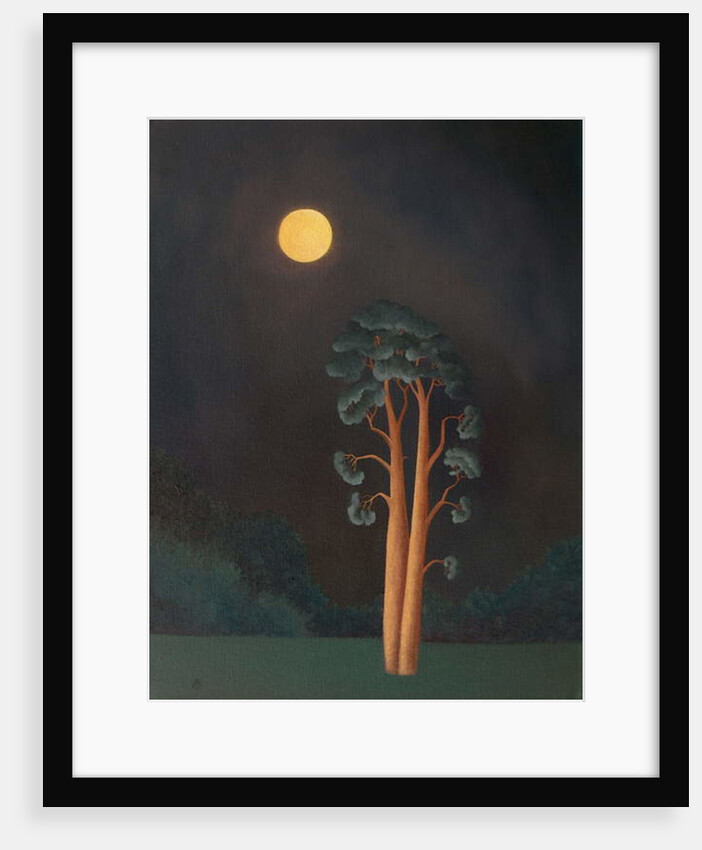 Stamford Pines, 2005 by Ann Brain
