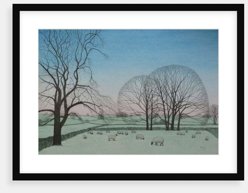 Frosty Morning, 2012 by Ann Brain