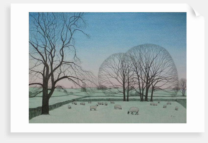 Frosty Morning, 2012 by Ann Brain