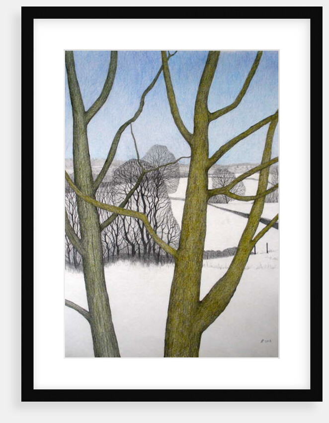 Winters Day, 2013 by Ann Brain