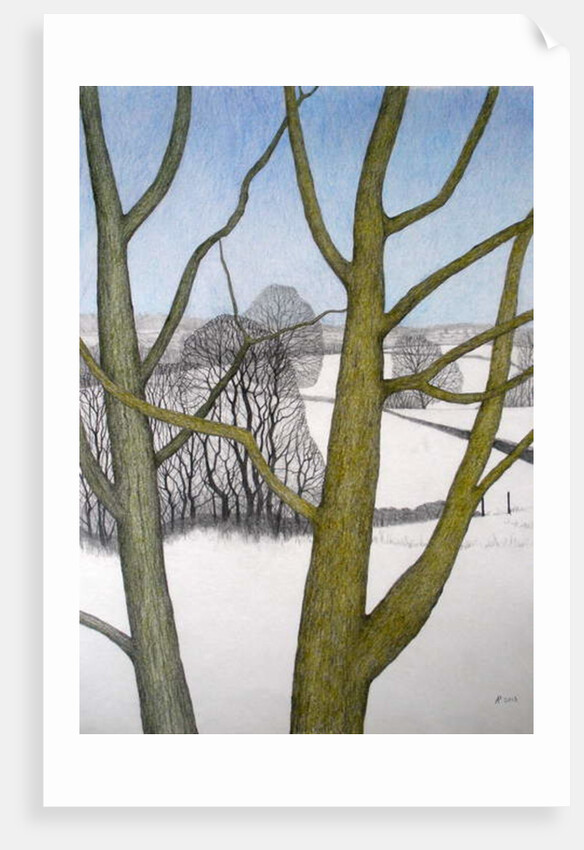 Winters Day, 2013 by Ann Brain
