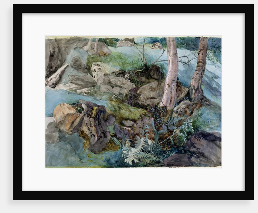 Study of rocks and ferns in a wood at Crossmount, Perthshire, 1843 by John Ruskin