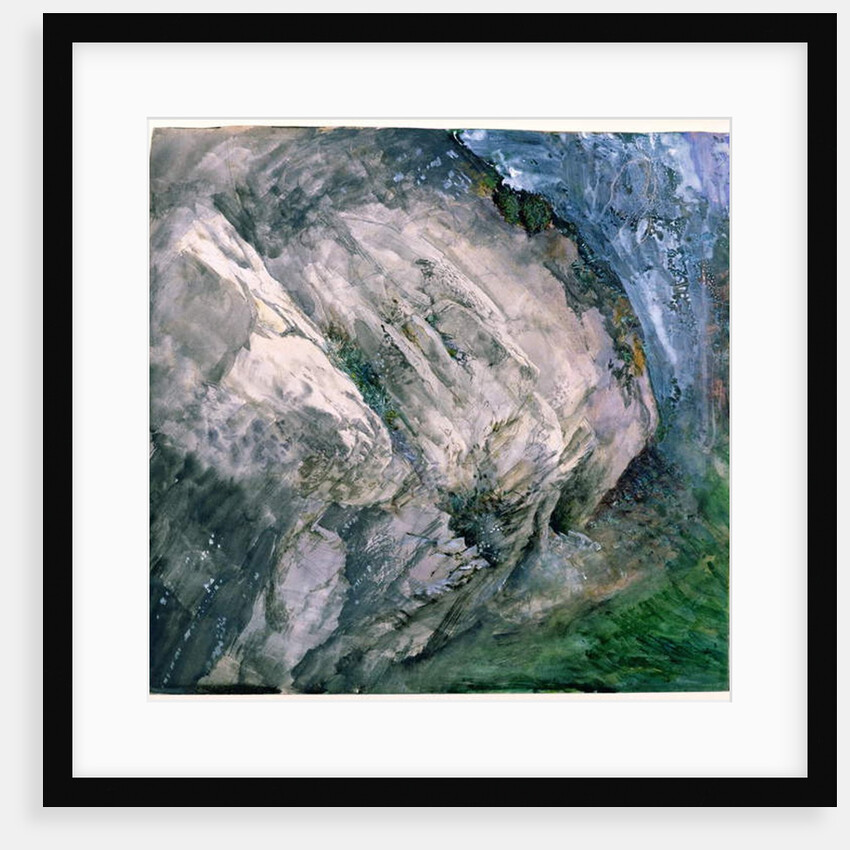 Rocks and vegetation at Chamouni, 1854 by John Ruskin