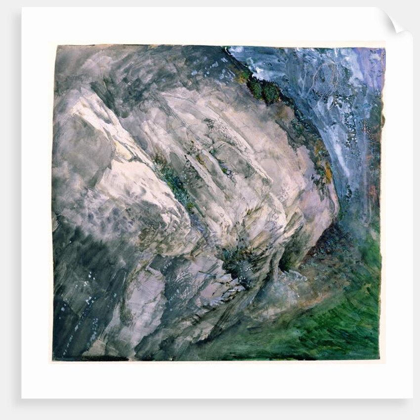 Rocks and vegetation at Chamouni, 1854 by John Ruskin