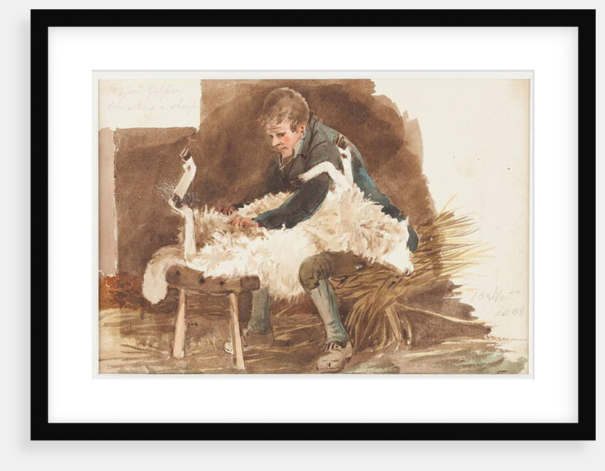 Shearing sheep, 1808 by John Harden