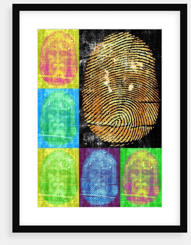 Roots & Thorns, 2014 by Francois Domain