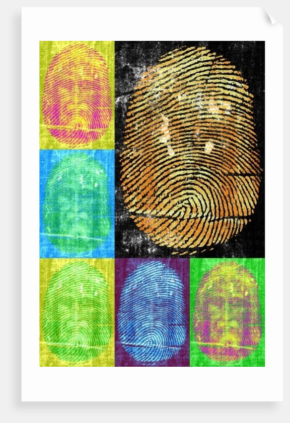 Roots & Thorns, 2014 by Francois Domain