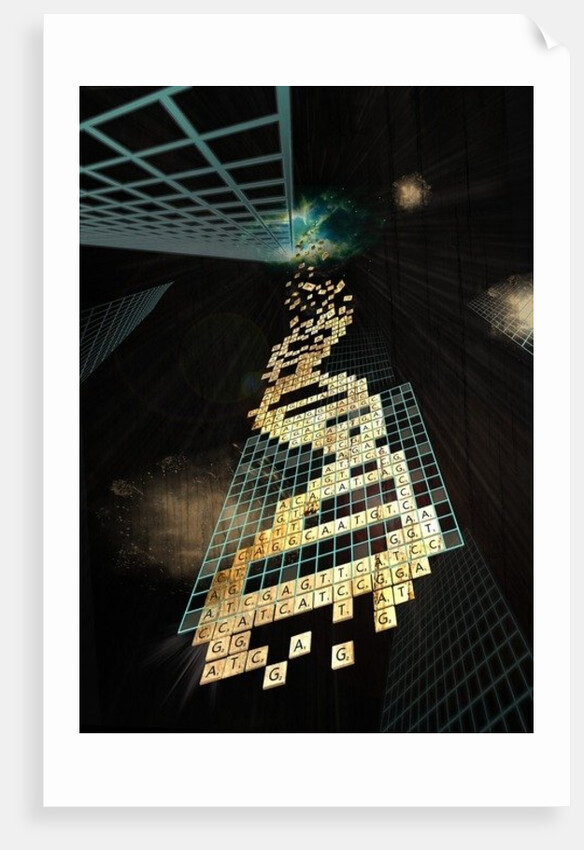 God doesn't play dice, 2014 by Francois Domain