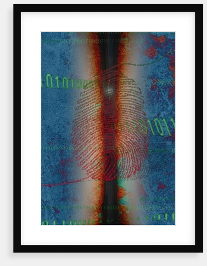 DIG1TS, 2014 by Francois Domain