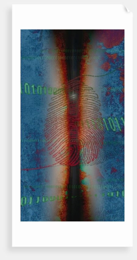 DIG1TS, 2014 by Francois Domain