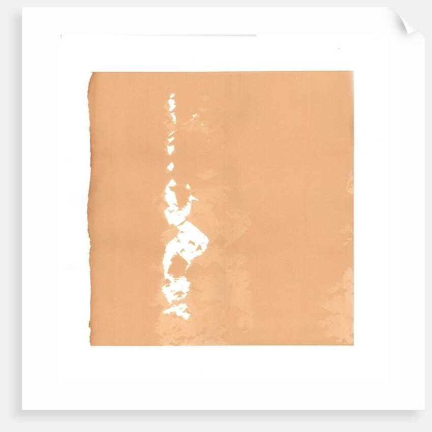 Whirling Dervish, 2015 by Francois Domain