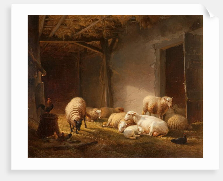 A Sunlit Barn with Ewes, Lambs and Chickens by Eugene Joseph Verboeckhoven