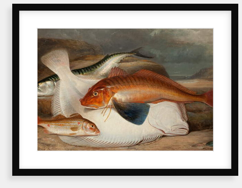 The Catch by Henry Leonidas Rolfe