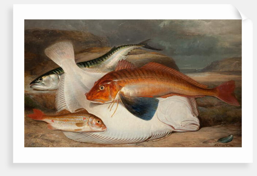 The Catch by Henry Leonidas Rolfe