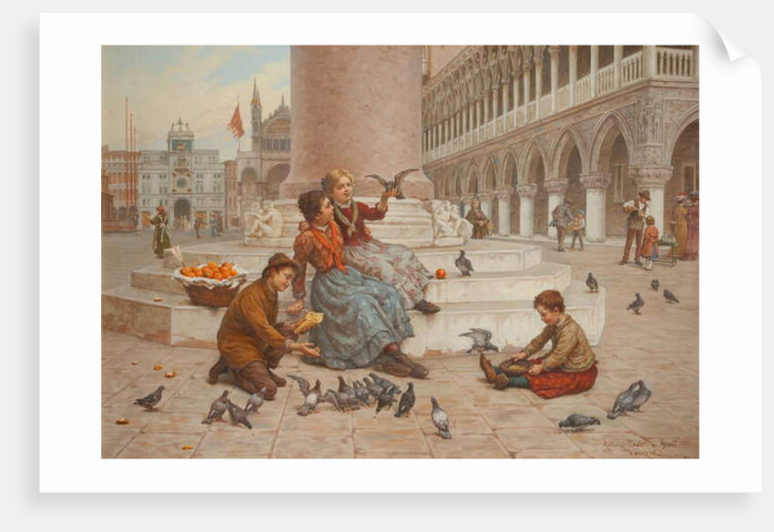 Pigeons of Venice by Antonio Paoletti