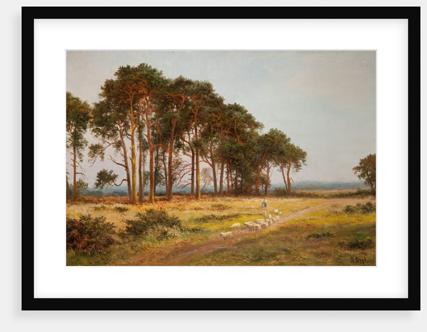 Evening at Bletchworth by Daniel Sherrin