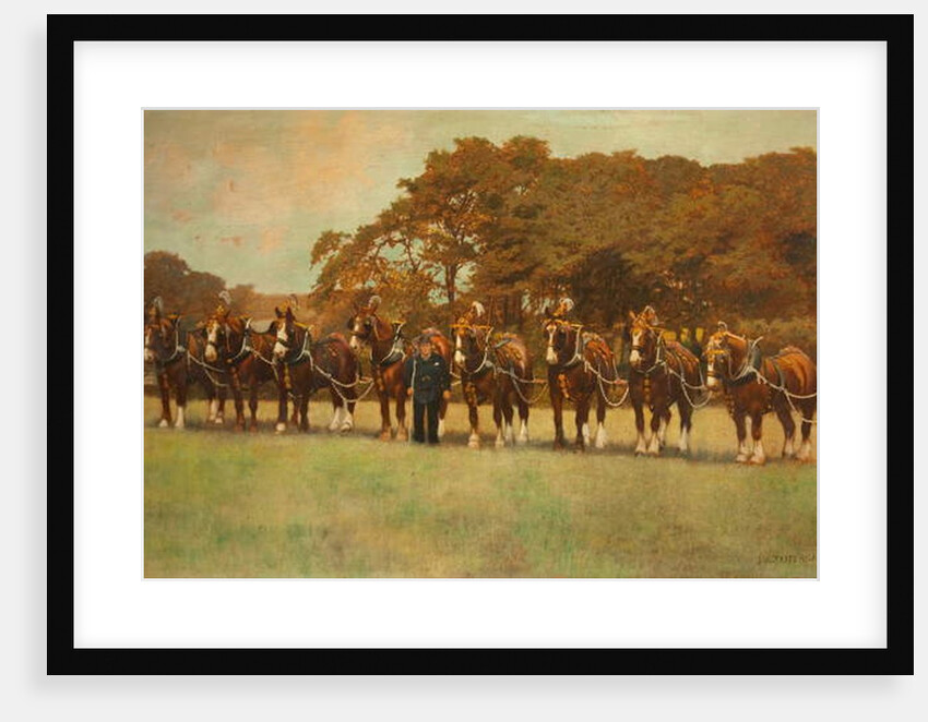 Shire Horses, 1896 by James Weaver Tattersall