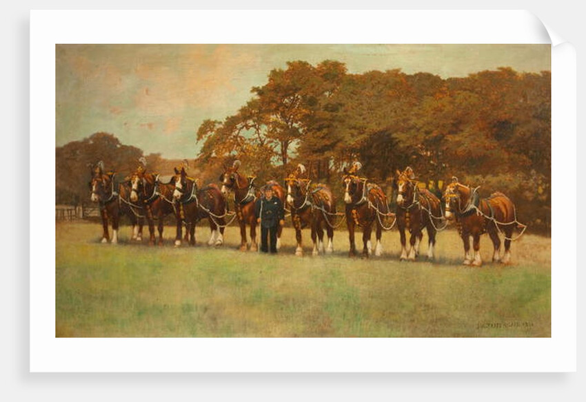 Shire Horses, 1896 by James Weaver Tattersall
