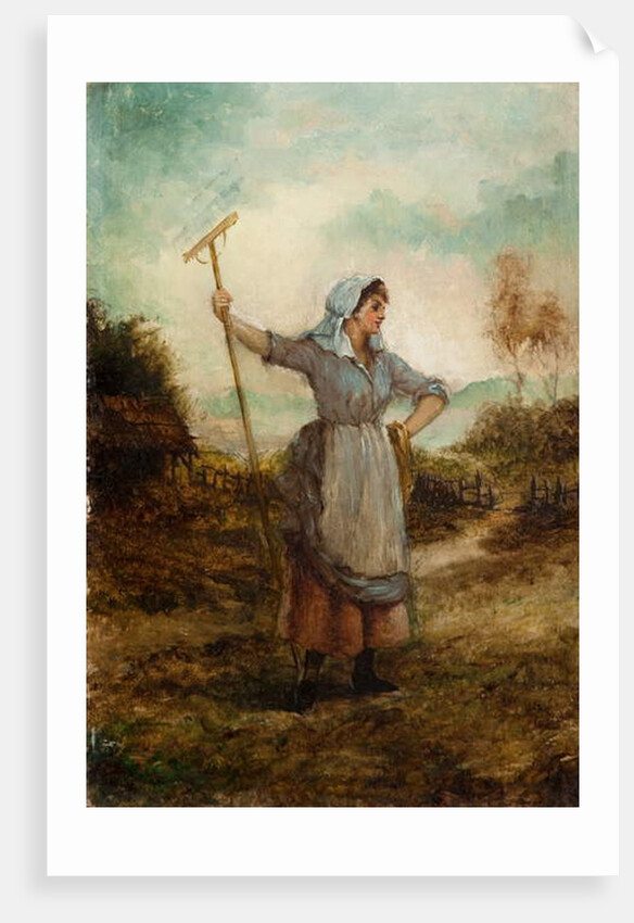 A Harvest Beauty by John A. McColvin