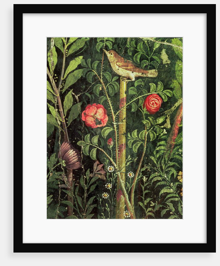 Wall painting of a bird in a garden, Pompeii, 1st century AD by Anonymous