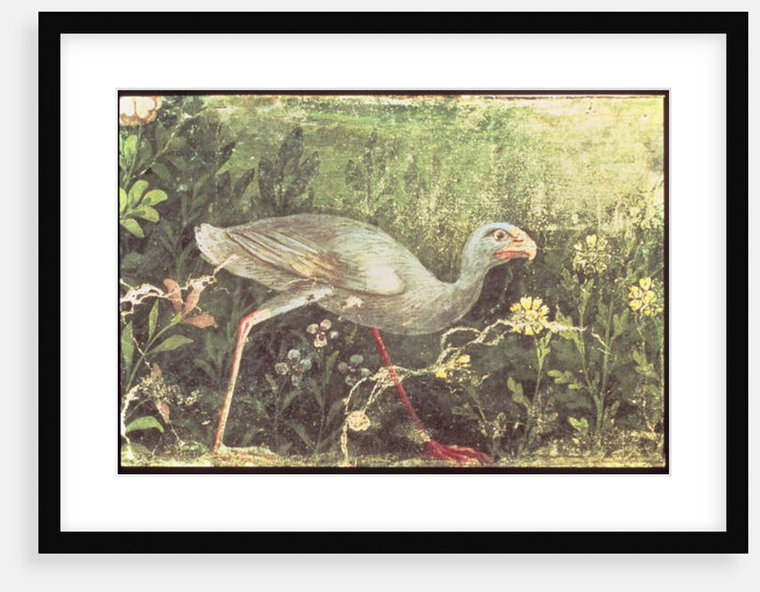 Wall painting of a Sultan chicken in a garden, Pompeii, 1st century AD by Anonymous