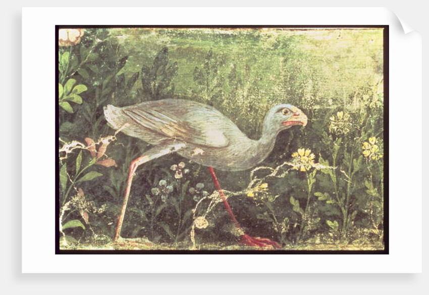 Wall painting of a Sultan chicken in a garden, Pompeii, 1st century AD by Anonymous