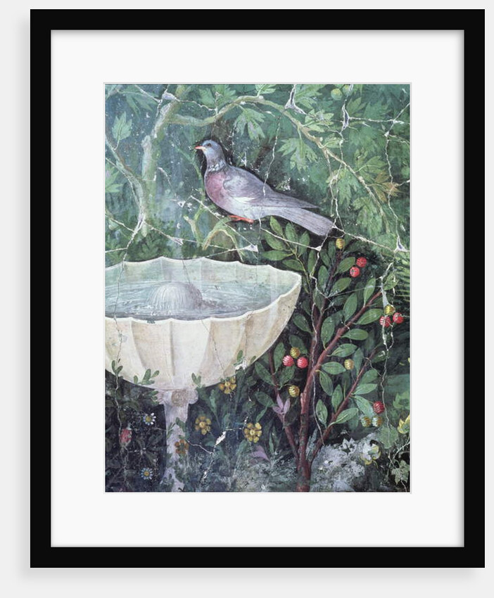 Wall painting of a dove in a garden by a fountain, House of the Golden Bracelet, Pompeii, 1st century AD by Anonymous