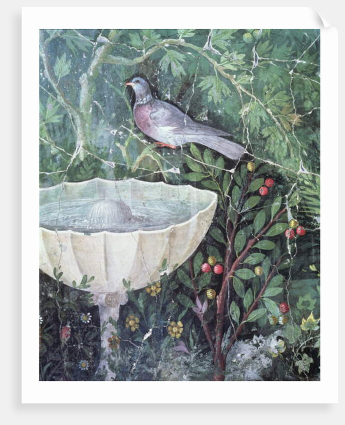 Wall painting of a dove in a garden by a fountain, House of the Golden Bracelet, Pompeii, 1st century AD by Anonymous