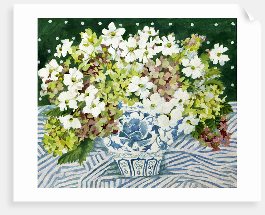 Cosmos and hydrangeas in a chinese vase, 2013 by Jennifer Abbott
