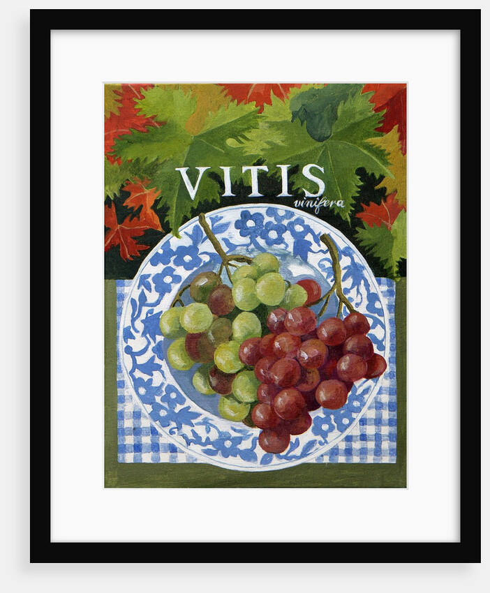 Vitus, 2014 by Jennifer Abbott