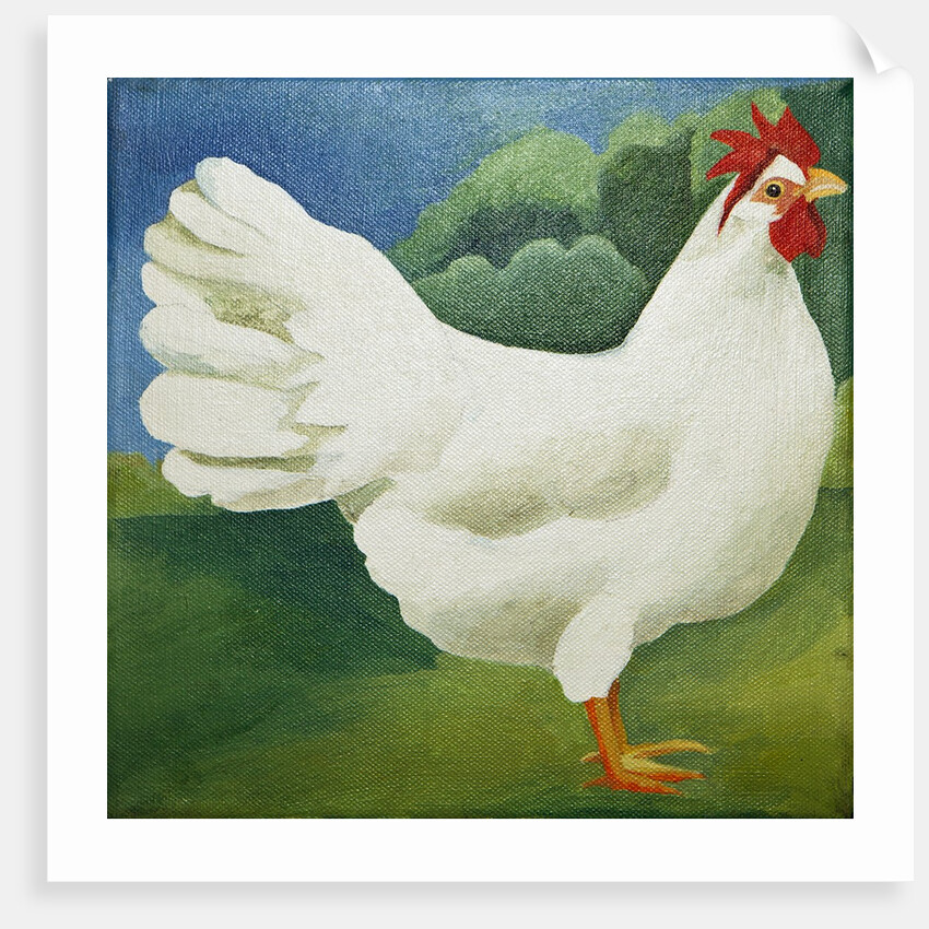 Cockerel, 2013 by Jennifer Abbott