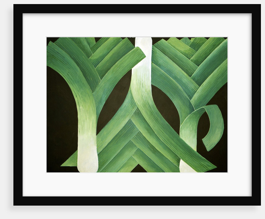 Leeks, 2014 by Jennifer Abbott