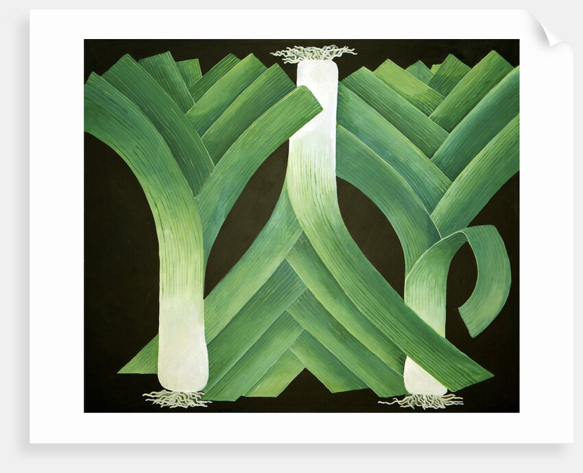 Leeks, 2014 by Jennifer Abbott