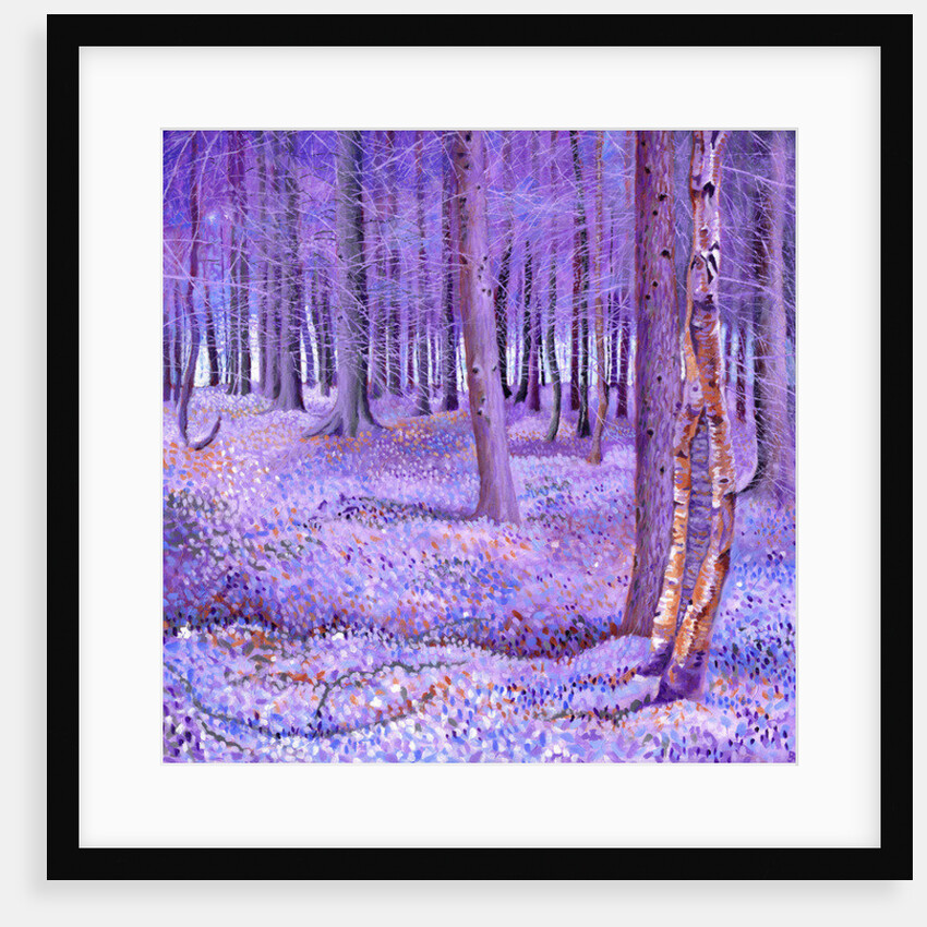 Purple Forest 2, 2012 by David Newton