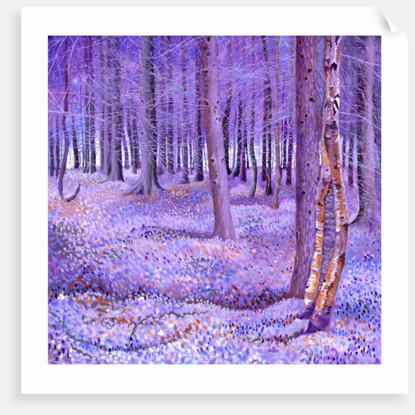 Purple Forest 2, 2012 by David Newton