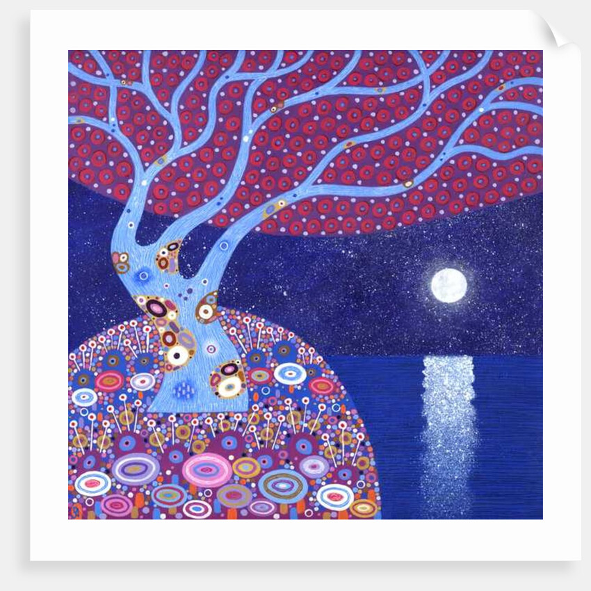 Midnight Moon, 2016 by David Newton