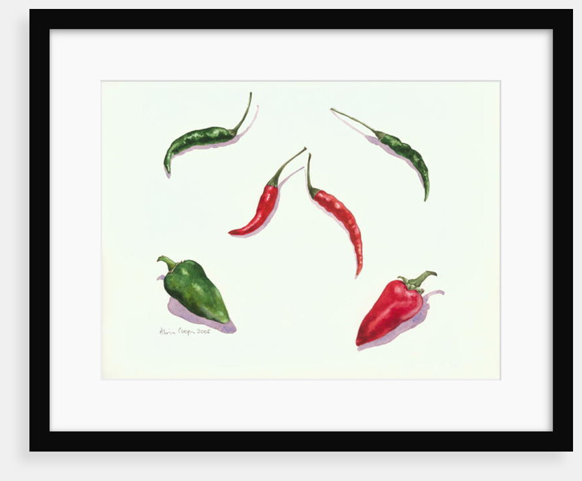 Chillies and Peppers, 2005 by Alison Cooper