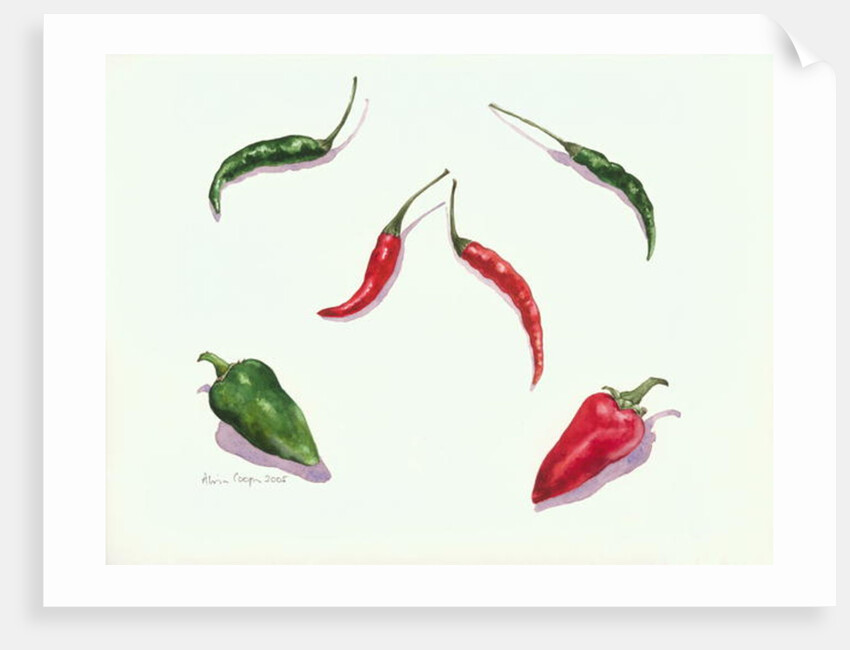 Chillies and Peppers, 2005 by Alison Cooper