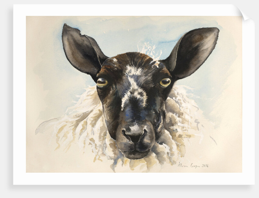 Hello Ewe, 2016 by Alison Cooper