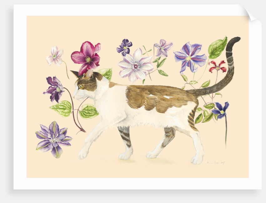 A Cat called Dave, 2017 by Alison Cooper