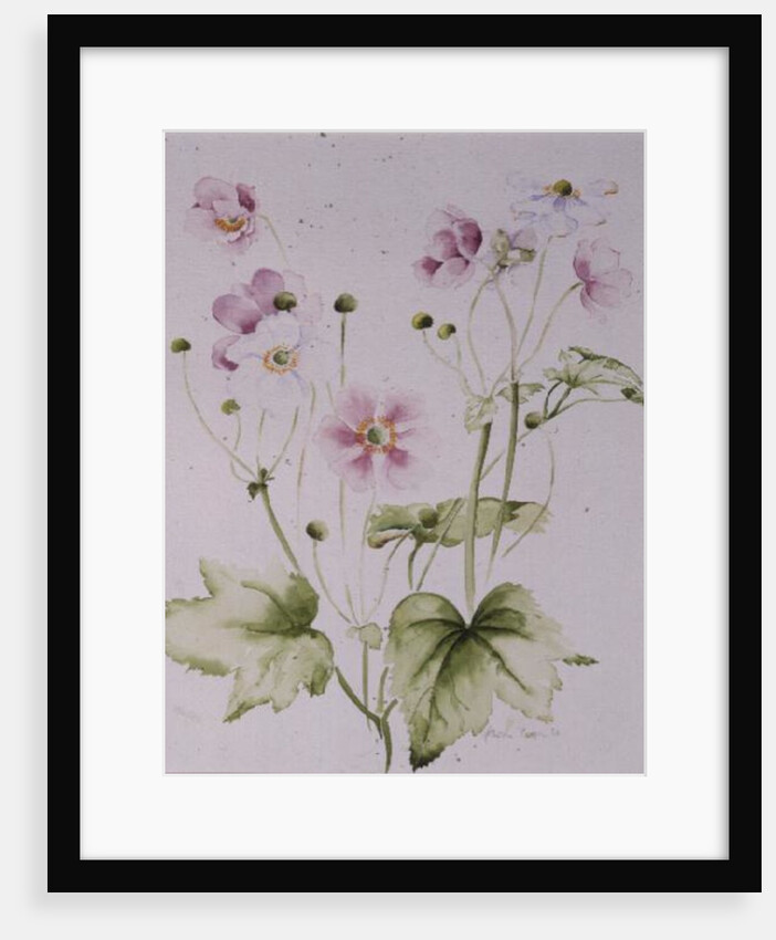Hellebores, 1990 by Alison Cooper