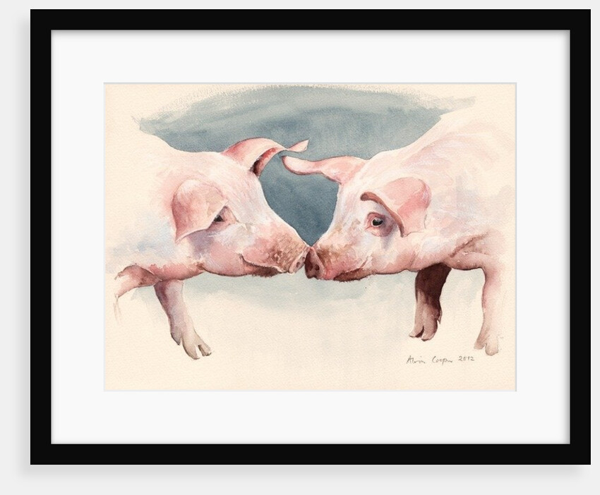 Two Little Piggies, 2012 by Alison Cooper