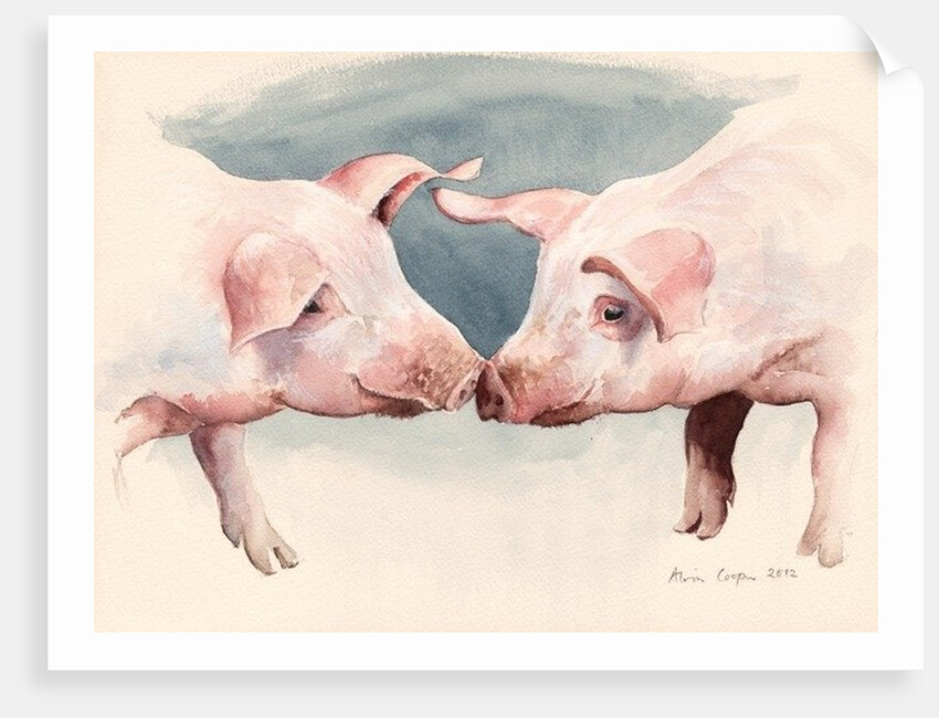 Two Little Piggies, 2012 by Alison Cooper