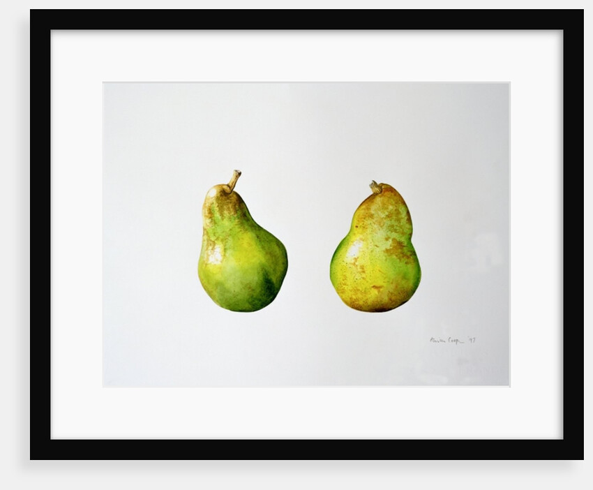 A Pair of Pears, 1997 by Alison Cooper