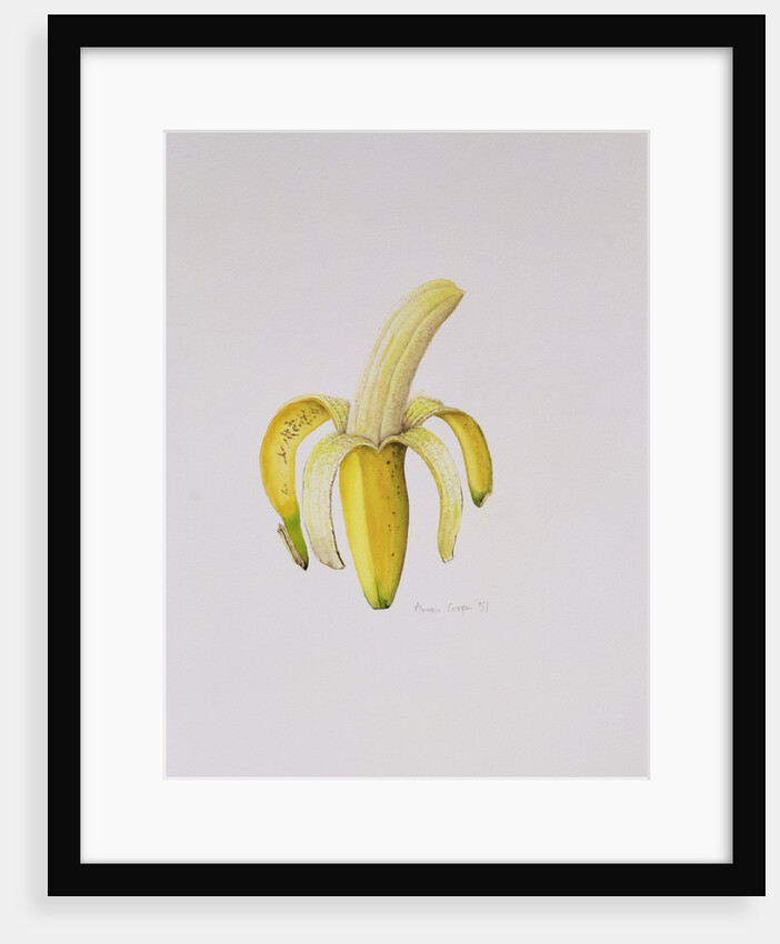 A Half-peeled Banana, 1997 by Alison Cooper