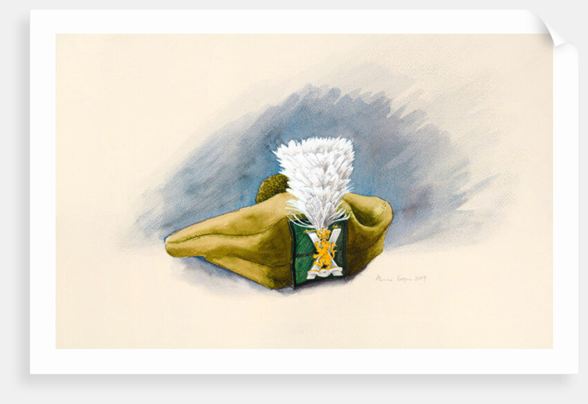 The White Hackle, 2014 by Alison Cooper