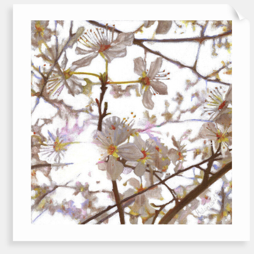 Prelude, 2014 by Helen White