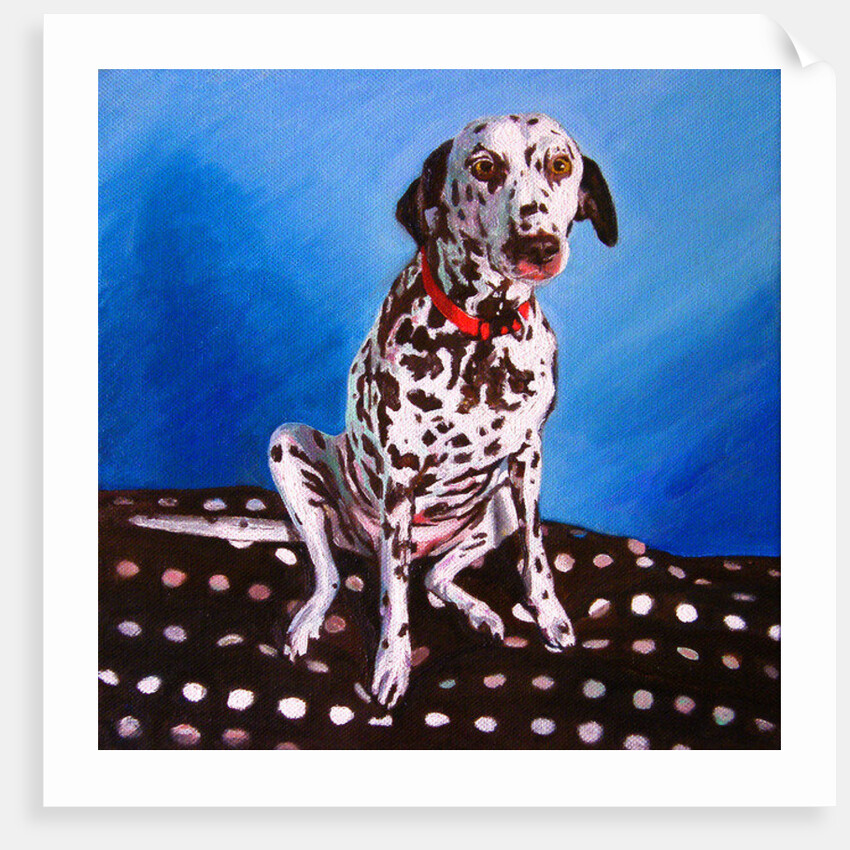 Spot on Spot, 2011 by Helen White